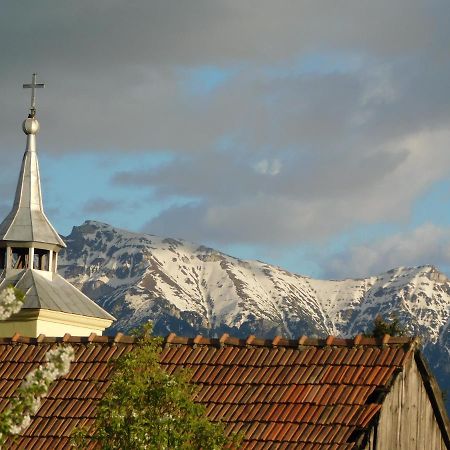 Mountain Vista Suites Зэрнешти Экстерьер фото