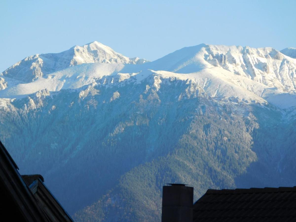Mountain Vista Suites Зэрнешти Экстерьер фото