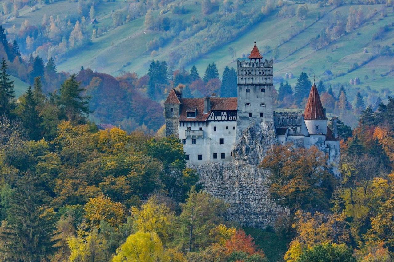 Mountain Vista Suites Зэрнешти Экстерьер фото