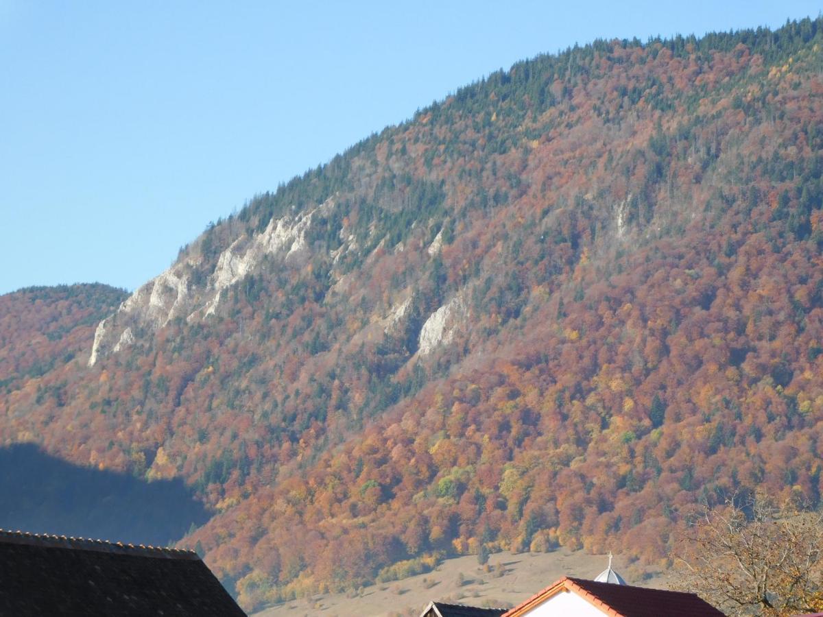 Mountain Vista Suites Зэрнешти Экстерьер фото