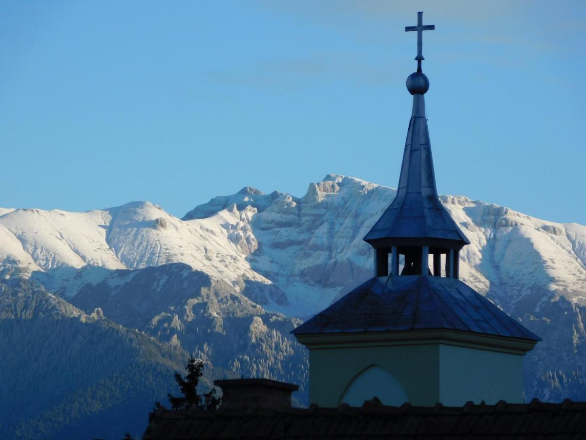 Mountain Vista Suites Зэрнешти Экстерьер фото