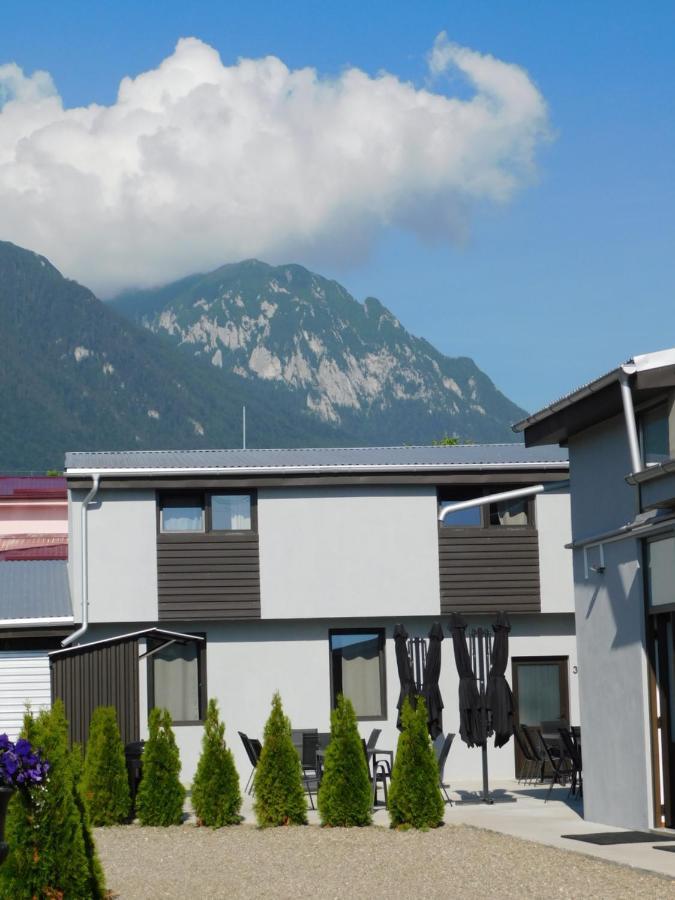 Mountain Vista Suites Зэрнешти Экстерьер фото