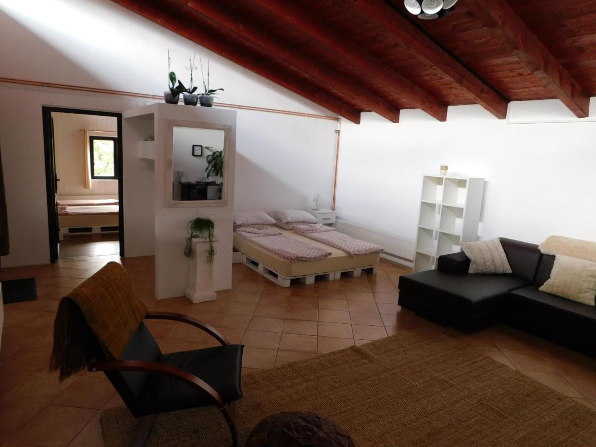 Mountain Vista Suites Зэрнешти Экстерьер фото